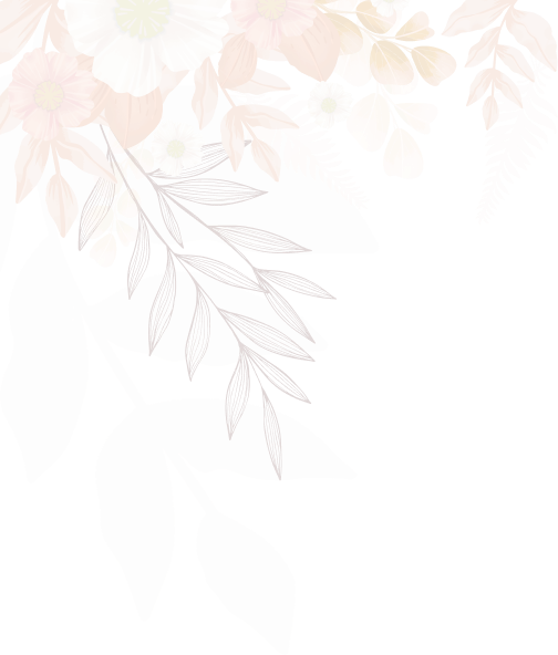 Shape Decoration 1