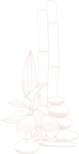 Shape Decoration 2